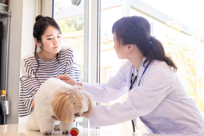 개에게 요로결석이 생겼을 때의 대응.