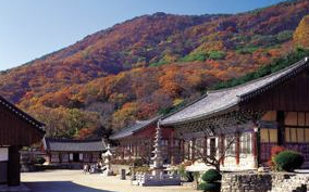 전북 고창 여행지 이미지