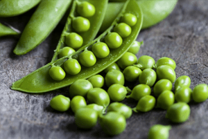 완두콩 효능13