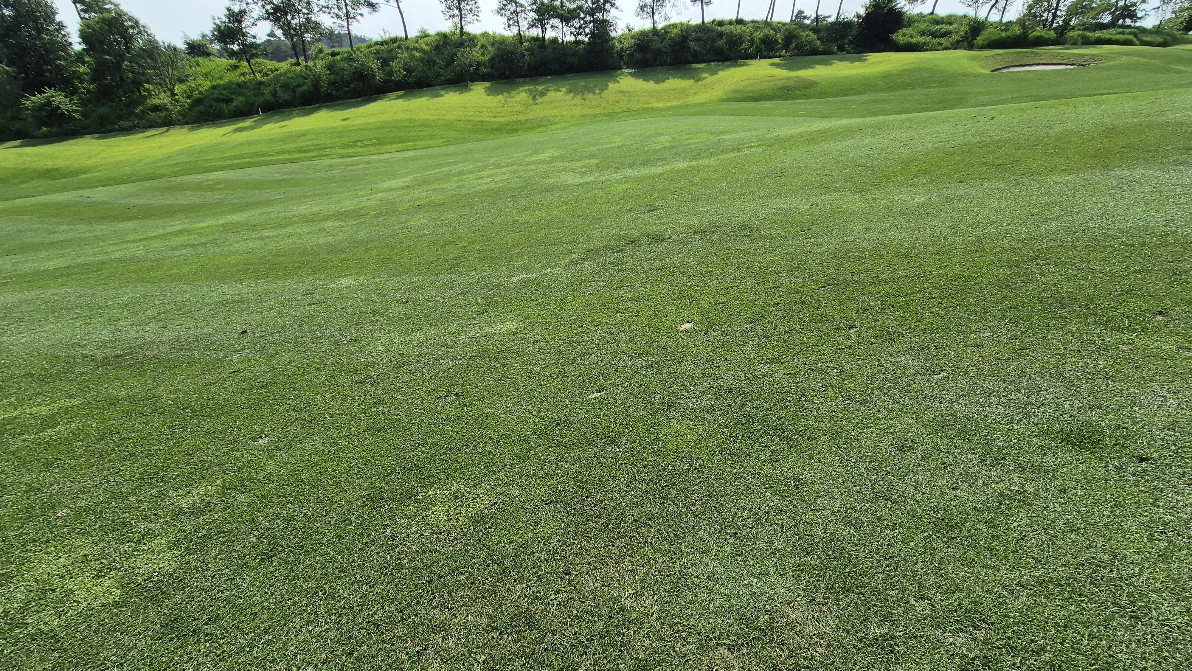 오너스gc 라운드 후기