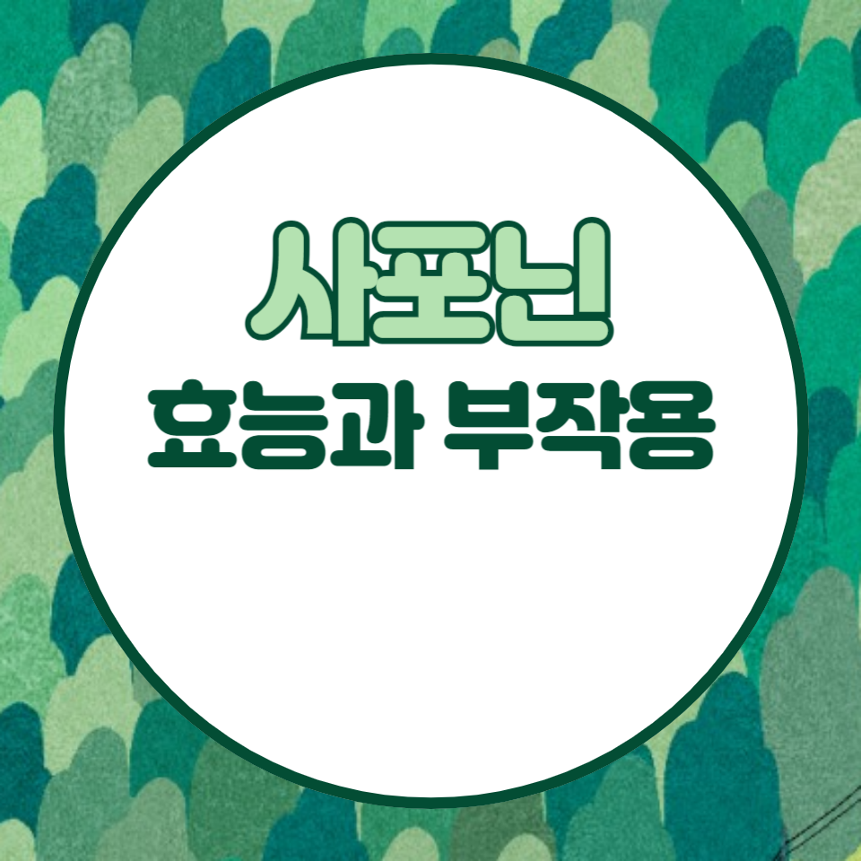 사포닌 효능과 부작용