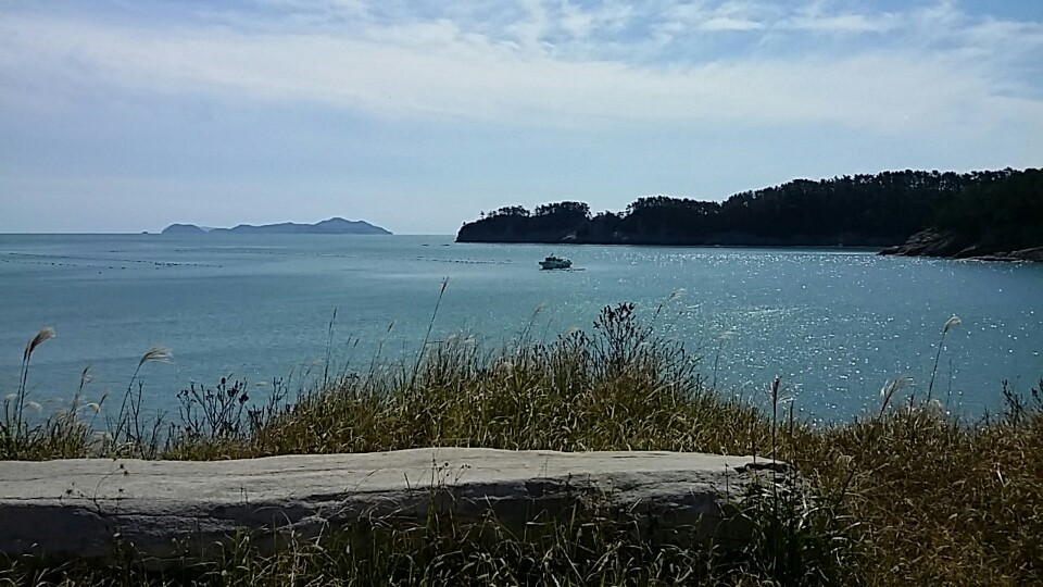 6시내고향 추도 낚시 민박