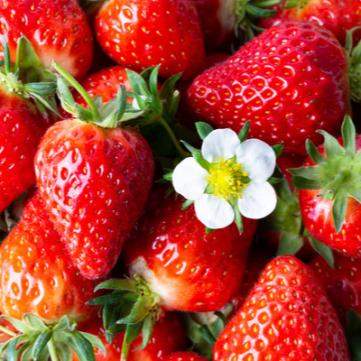 당뇨병 초기 증상 원인