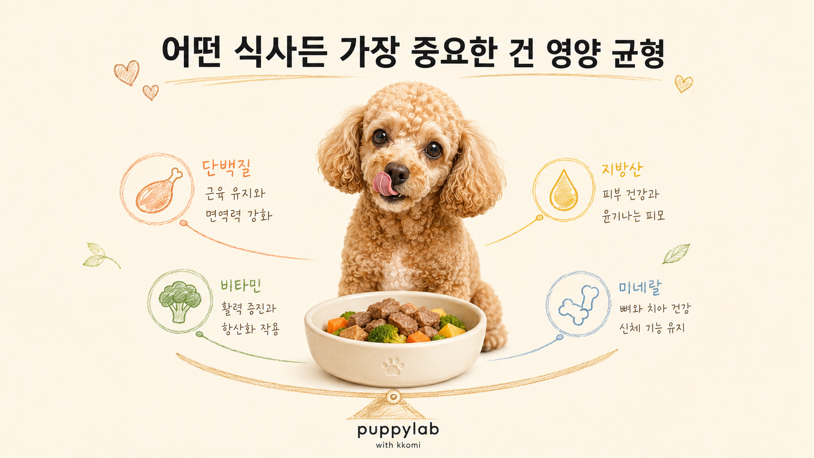 균형 잡힌 식사를 맛있게 먹는 강아지의 모습, 영양을 고려한 건강한 한 끼 장면