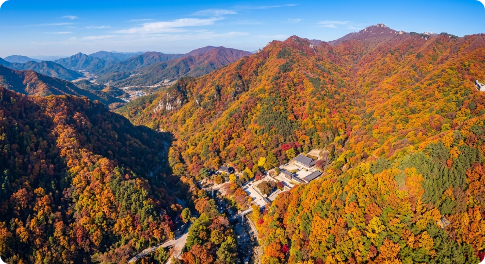 지리산 단풍명소 AI 이미지