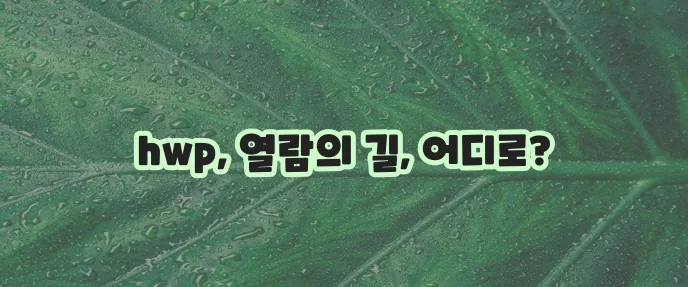 hwp 뷰어 다운로드