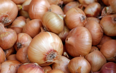 부추김치 만드는법