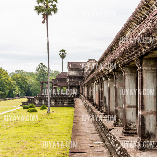 앙코르와트 내부의 회랑과 야자수로 둘러싸인 모습.