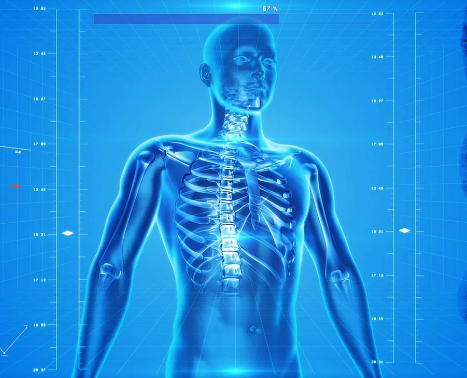 뼈 건강 필수 영양소