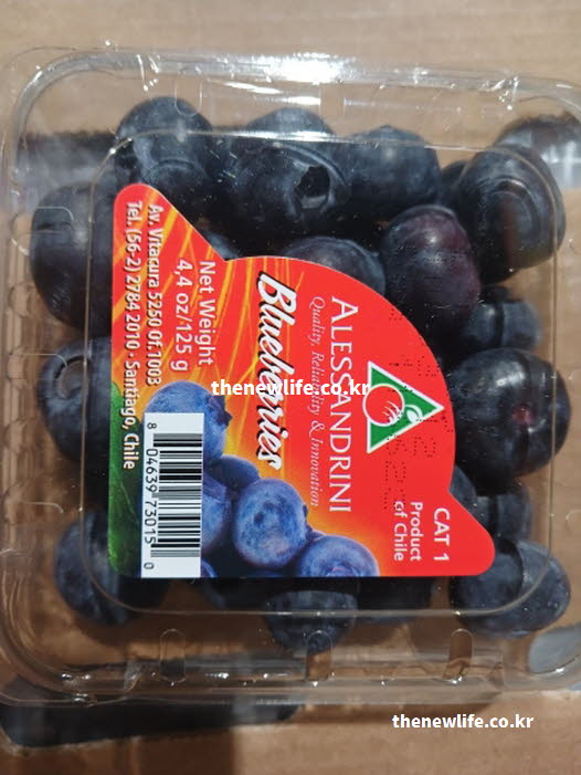 블루베리 효능의 시너지를 위해 요구르트와 견과류를 곁들여 올바르게 섭취하는 방법을 담은 실사진