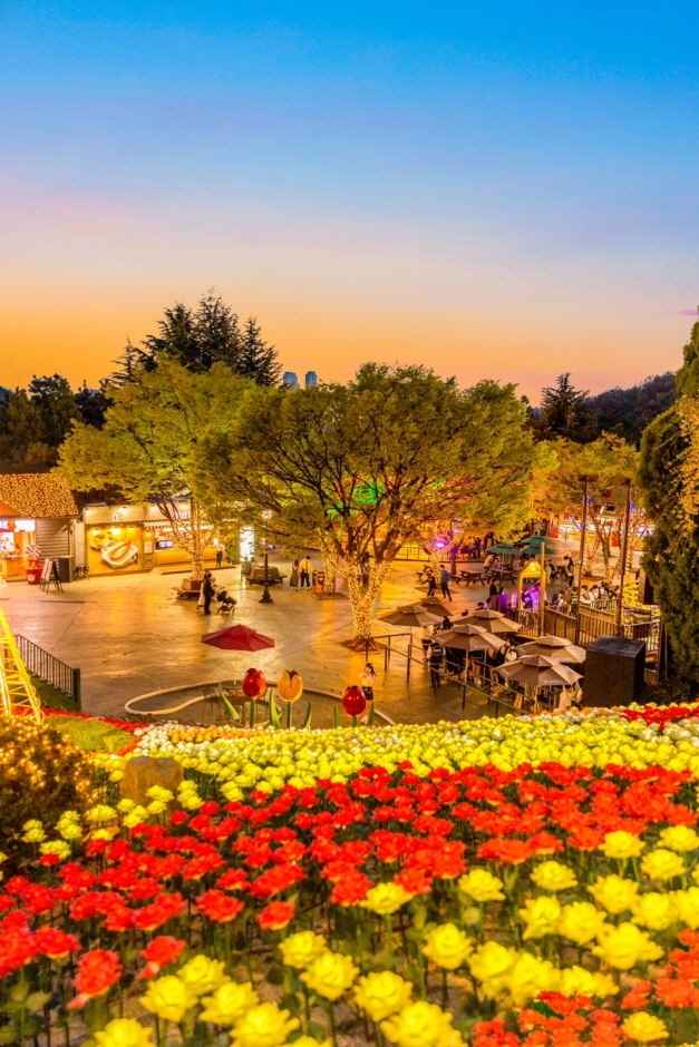 이월드 튤립 트래블