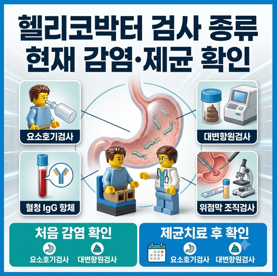 헬리코박터 검사 종류 및 현재 감염과 제균 치료 후 확인 방법 대표 썸네일