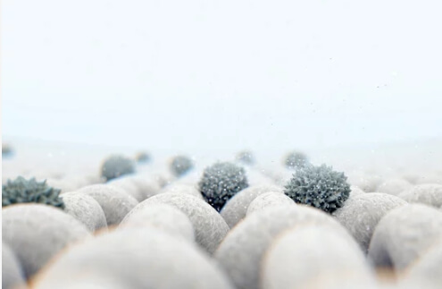 탄저균 집단 감염