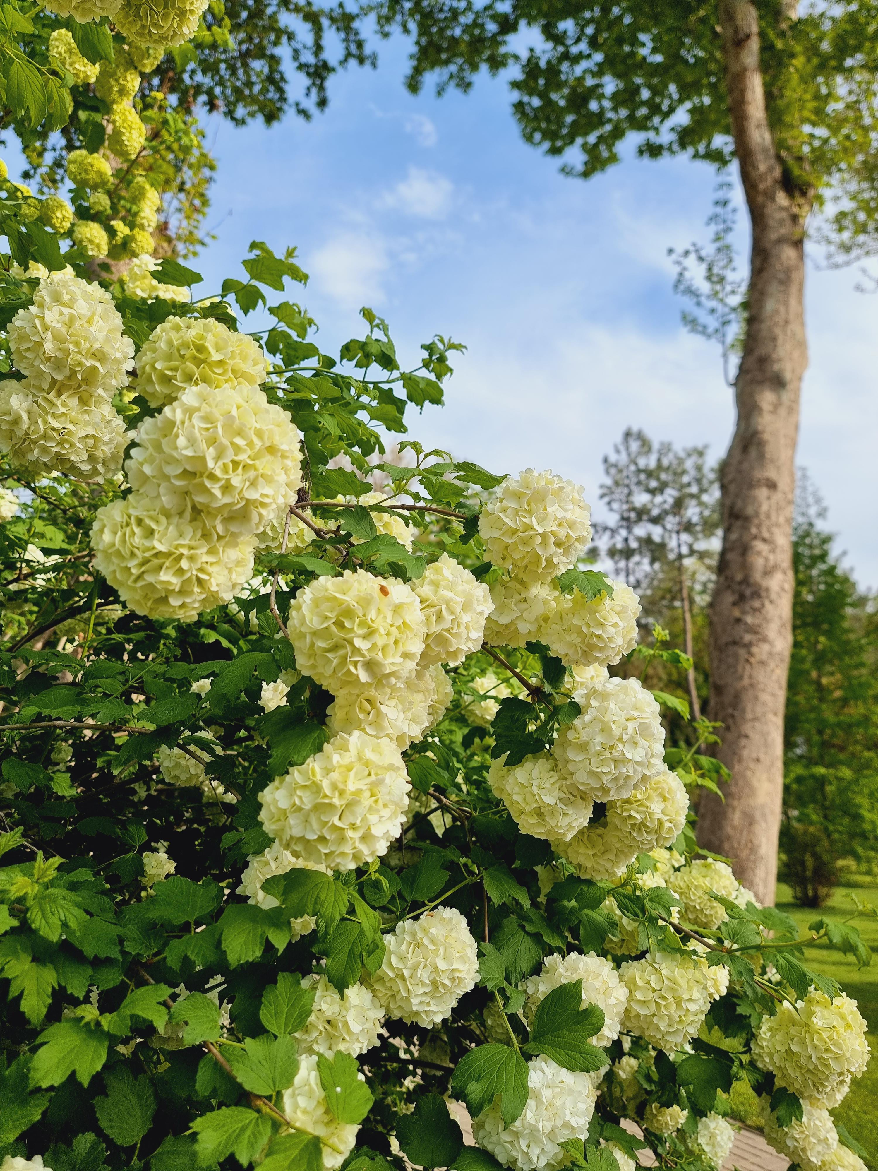 공원 주변 이모저모