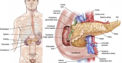 GLP-1유사체와 급성 췌장염 부작용 증가 관련 이미지