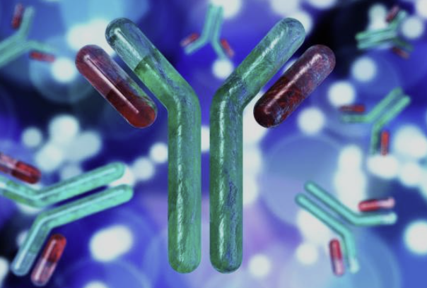 Anti-drug Antibody(ADA) Interference가 LC-MS/MS 기반 분석에 미치는 영향