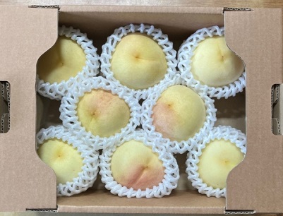 6시내고향복숭아