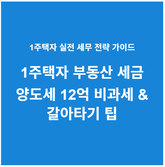 1주택자 부동산 세금