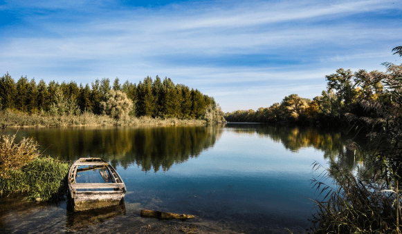 디지털 디톡스, 느림으로 회복하는 집중의 기술