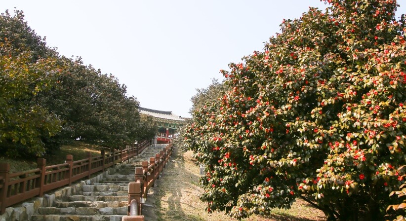 봄 축제 가볼만한 곳