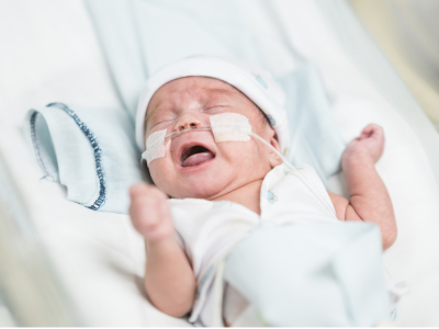 2025 새마을금고 아기뱀 적금 이자 계산 특판 적금 총정리