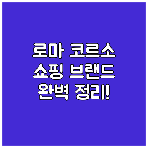 로마 플라미니오 광장 출발 코르소 거..