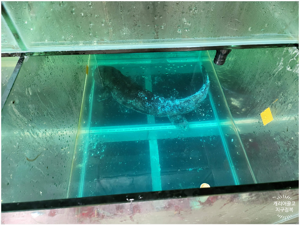 장가계 보봉호수