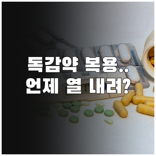 독감 항바이러스제 복용 후 열 내리는..