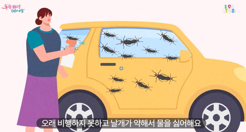 러브버그 퇴치 방법