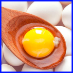 달걀 노른자 효능 썸네일 이미지