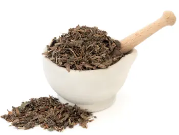 어성초 효능 효과 및 영양성분, 부작용