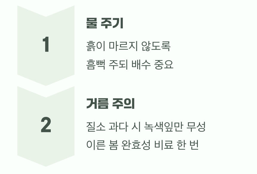 너무 편안해도 게을러져요, '물과 거름'