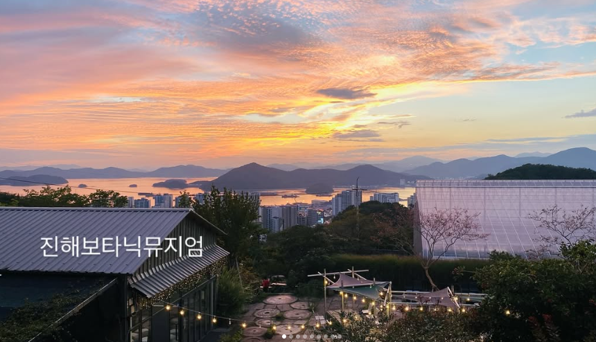 창원 진해 보타닉뮤지엄 목향장미 개화현황, 입장료 및 주차정보