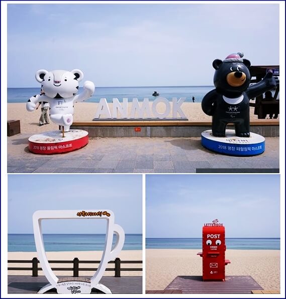 안목해변의 이것저것