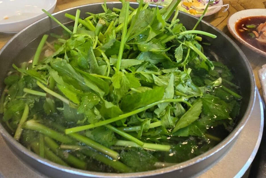 오늘N 한 끼에 얼마예요? 서울 양천구 복어요리 맛집 승아복집 오늘N 2497회 