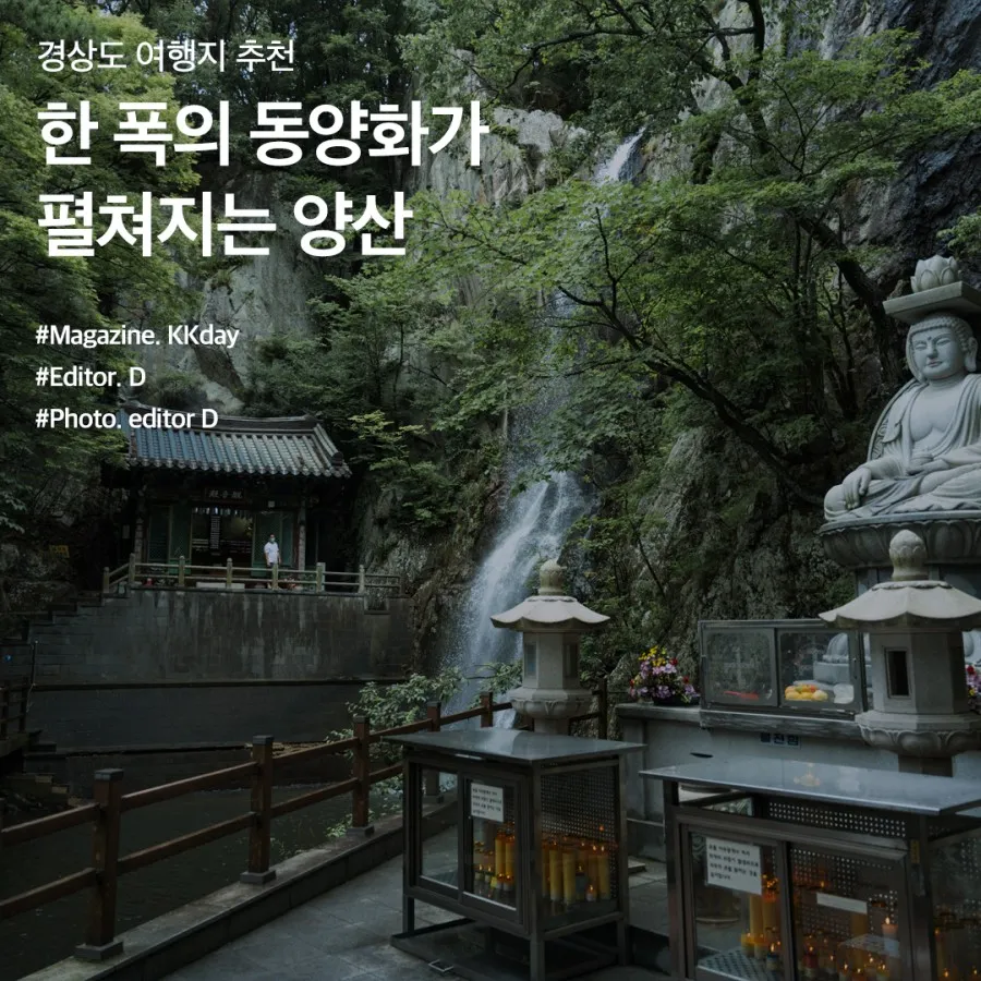 양산 가볼만한곳 추천 맛집 카페 여름 BEST 10_1