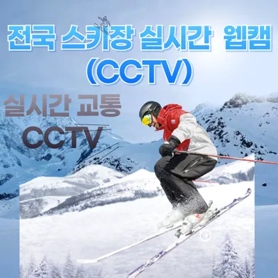 전국 스키장 실시간 웹캠 CCTV 및 실시간 도로상황 교통 CCTV