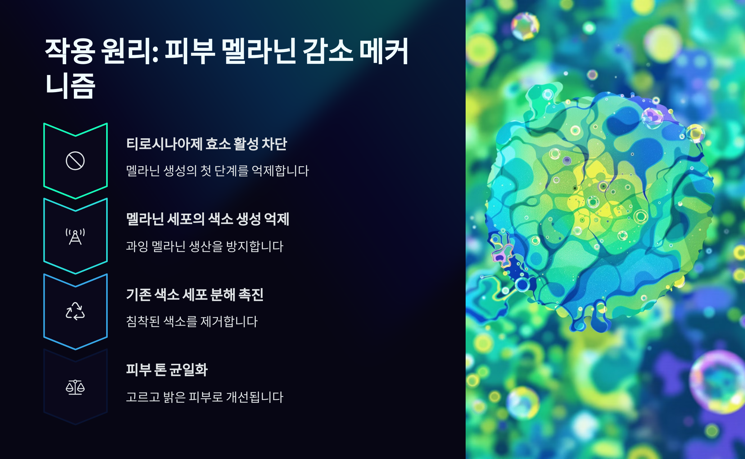 멜라논 크림 사용법과 효과 총정리