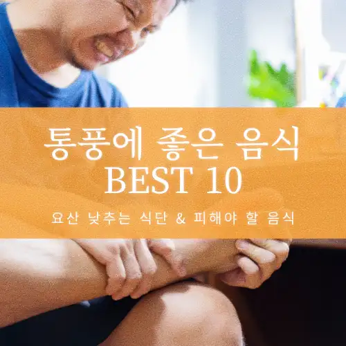 통풍에 좋은 음식 BEST 10