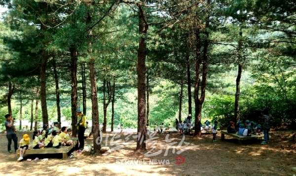 경기도 경기 투어패스 ❘ 가격 이용 방법 관광지 ❘ 베이밸리 투어패스