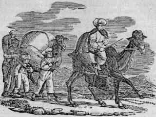 신밧드의-일곱-번째이자-마지막-항해-중-캐러밴