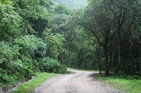 방태산 자연휴양림