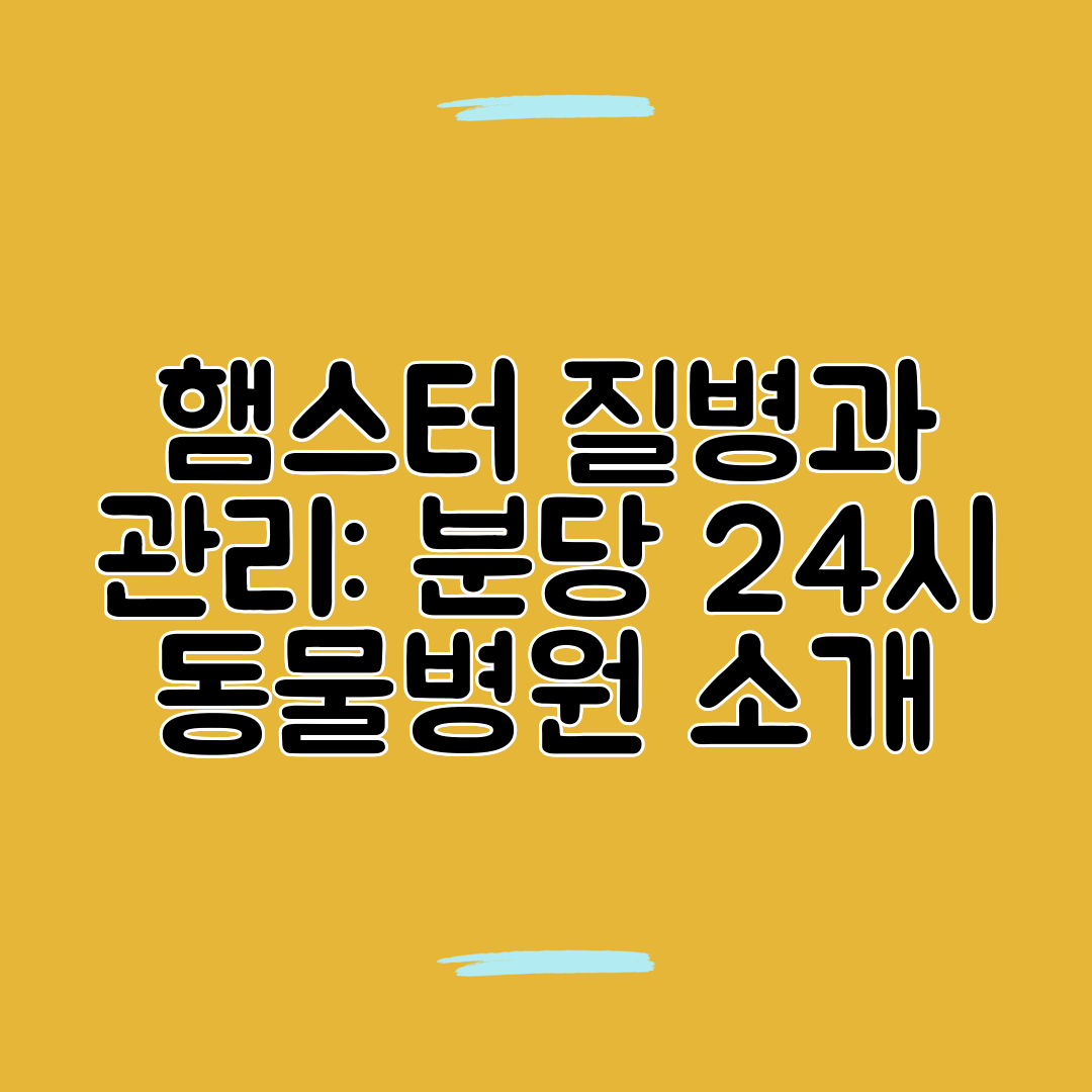 햄스터 질병과 관리 분당 24시 동물병원 소개