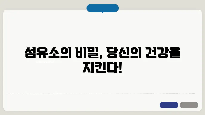 섬유소