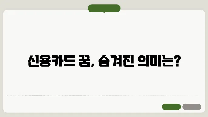 신용카드를 꿈꾸다