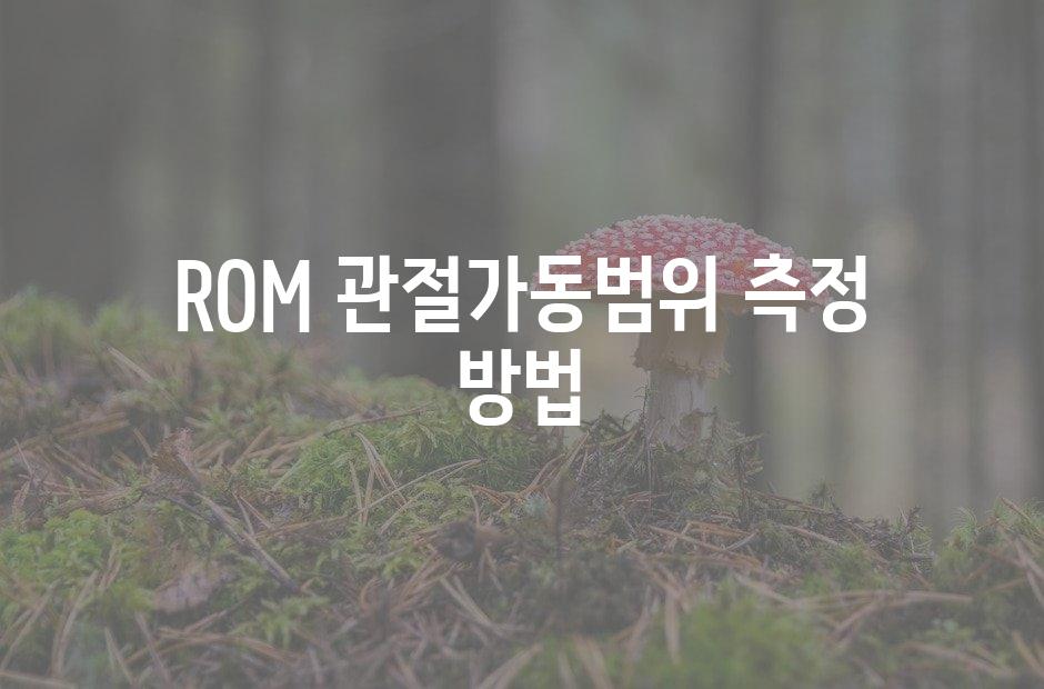 샘플 (42)
