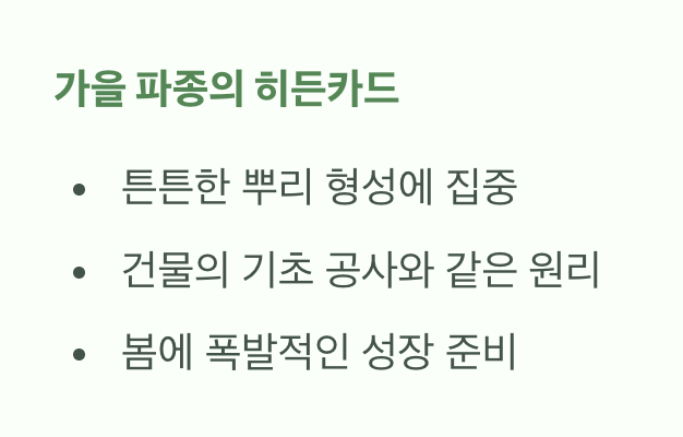 뿌리 경쟁에서 한발 앞서기