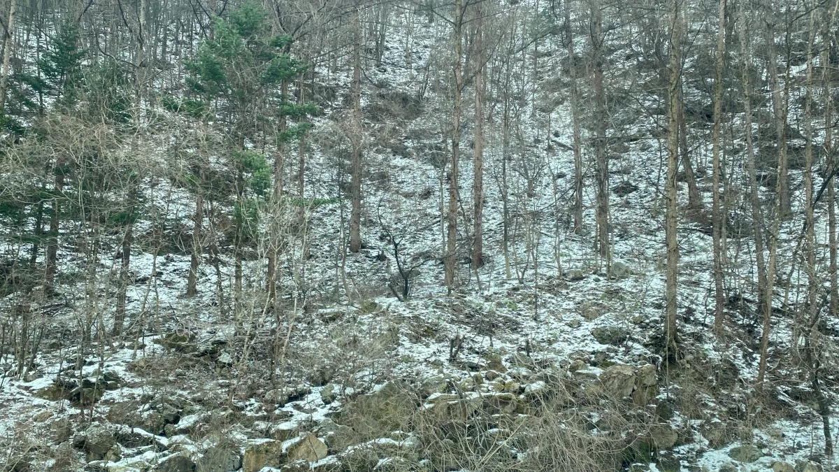 강원도-삼척여행-관광지-추천-눈-오는날-환선굴-방문-후기-모노레일-관람시간