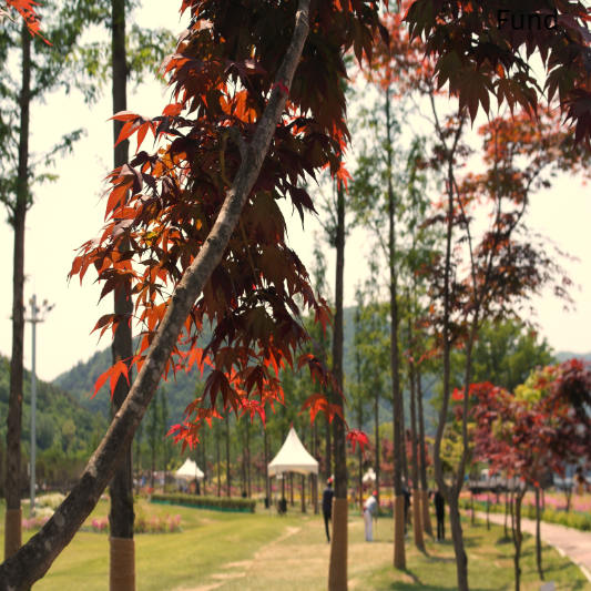 기초생활수급자 자격요건