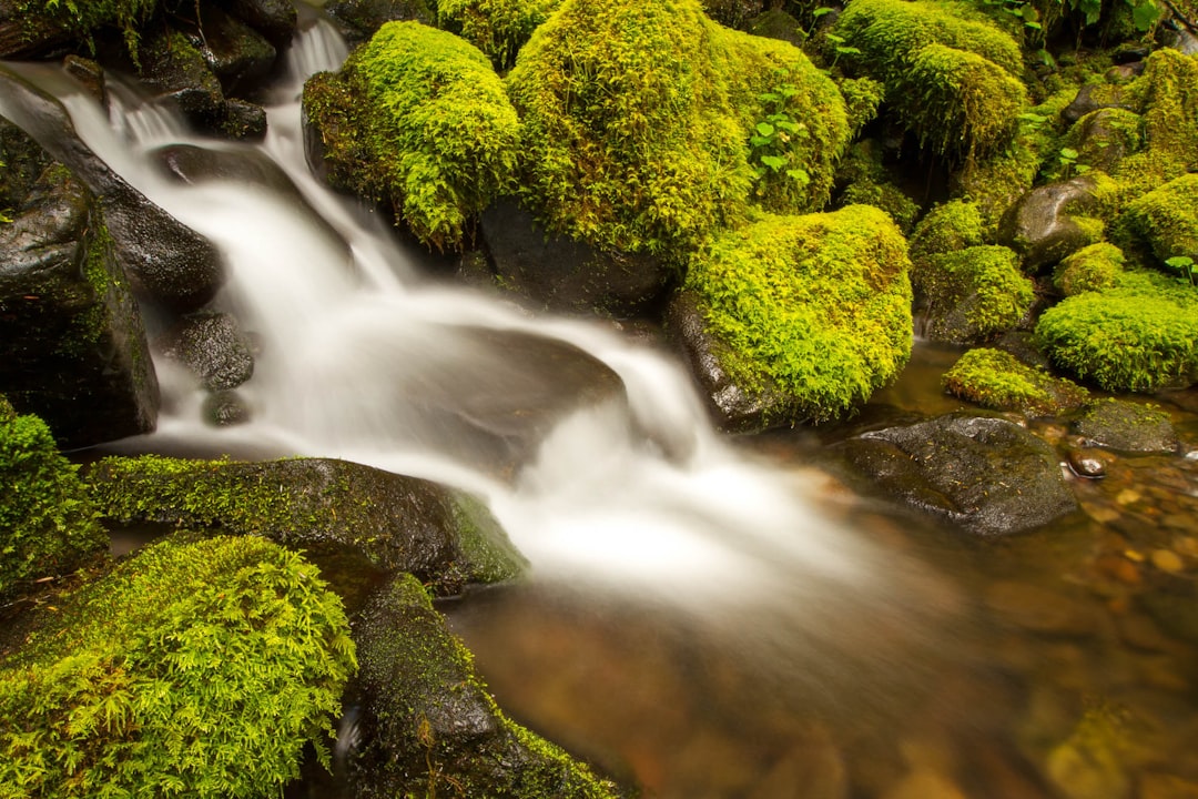 Bonghwang Stream